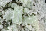 Green, Bowtie Prehnite Crystal Cluster - Morocco #80680-1